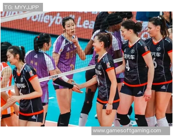 杭州排球队灵活性分析与表现评估的深度研究与探讨